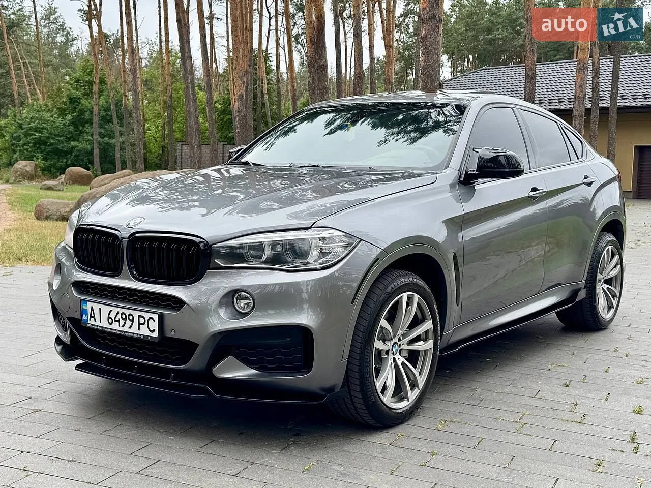 2017 BMW X6 - мініатюра 38