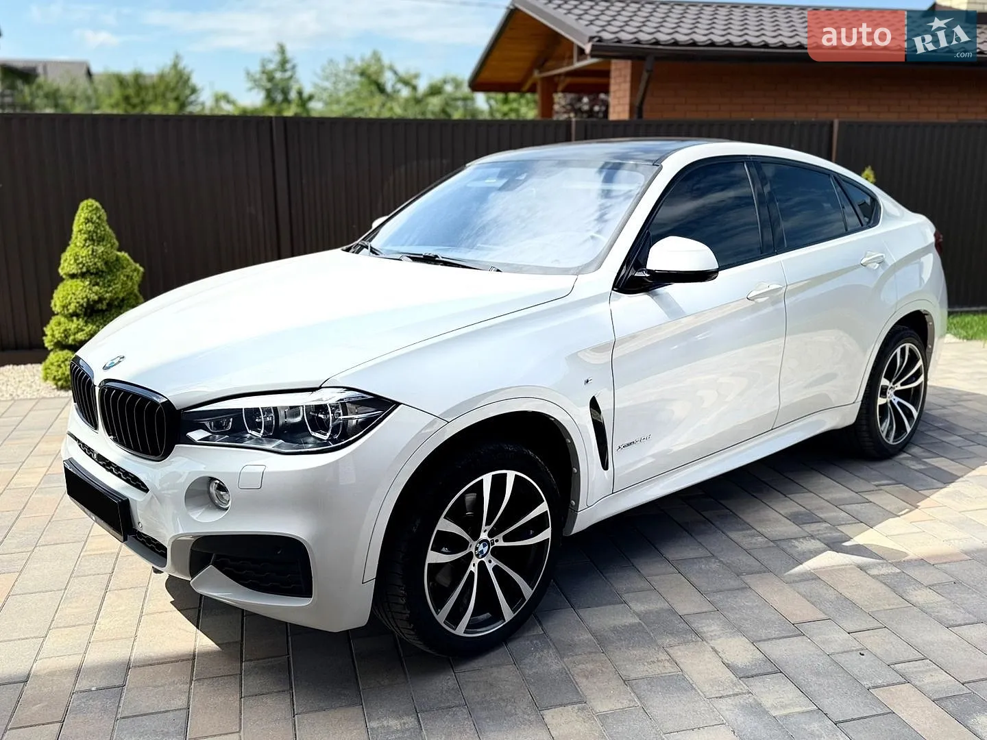 2017 BMW X6 - мініатюра 3