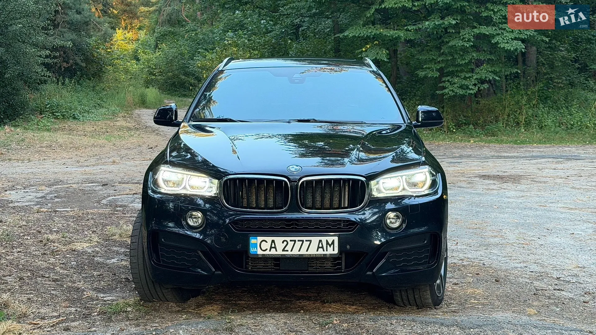 2019 BMW X6 - мініатюра 2