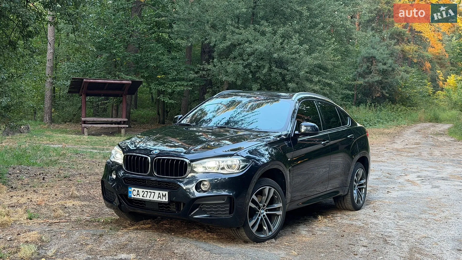 2019 BMW X6 - мініатюра 4