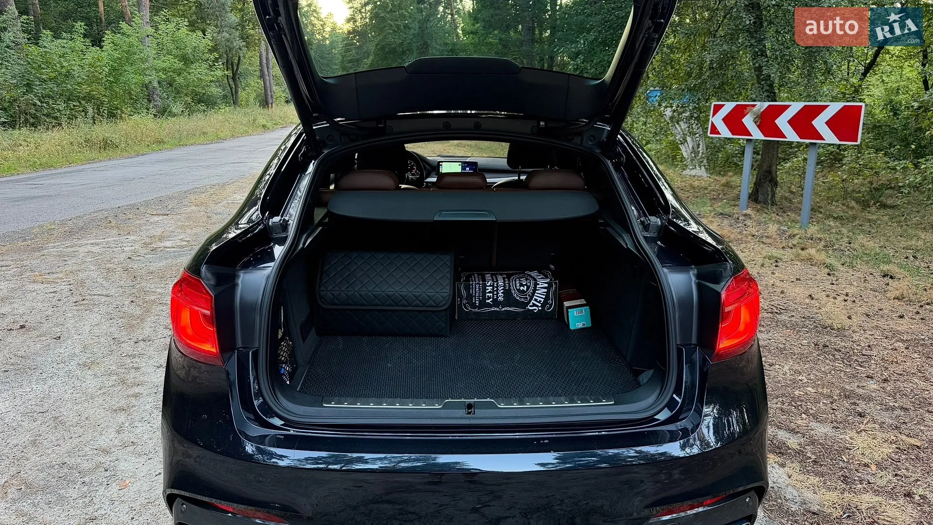 2019 BMW X6 - мініатюра 14