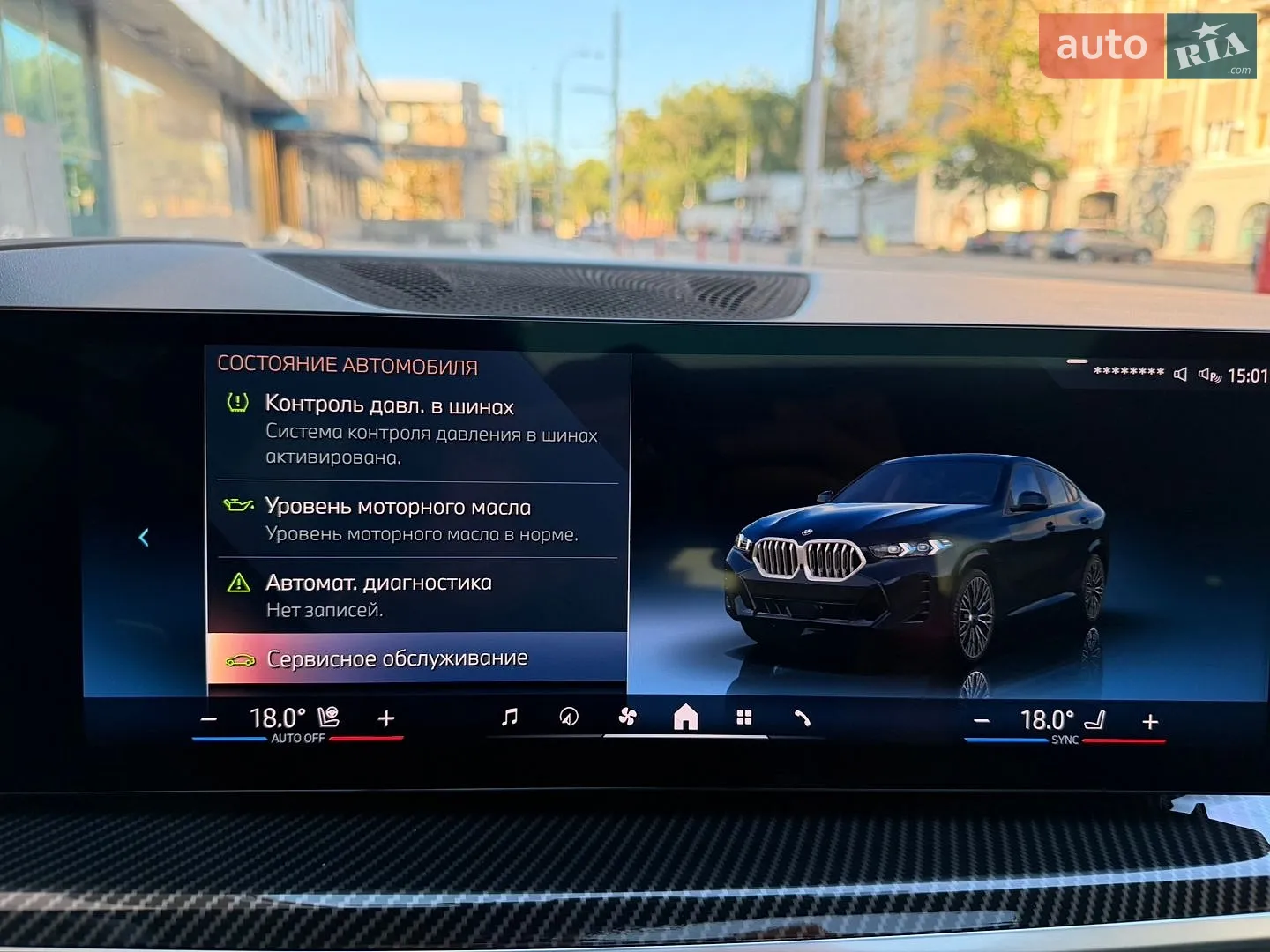 2023 BMW X6 - мініатюра 91