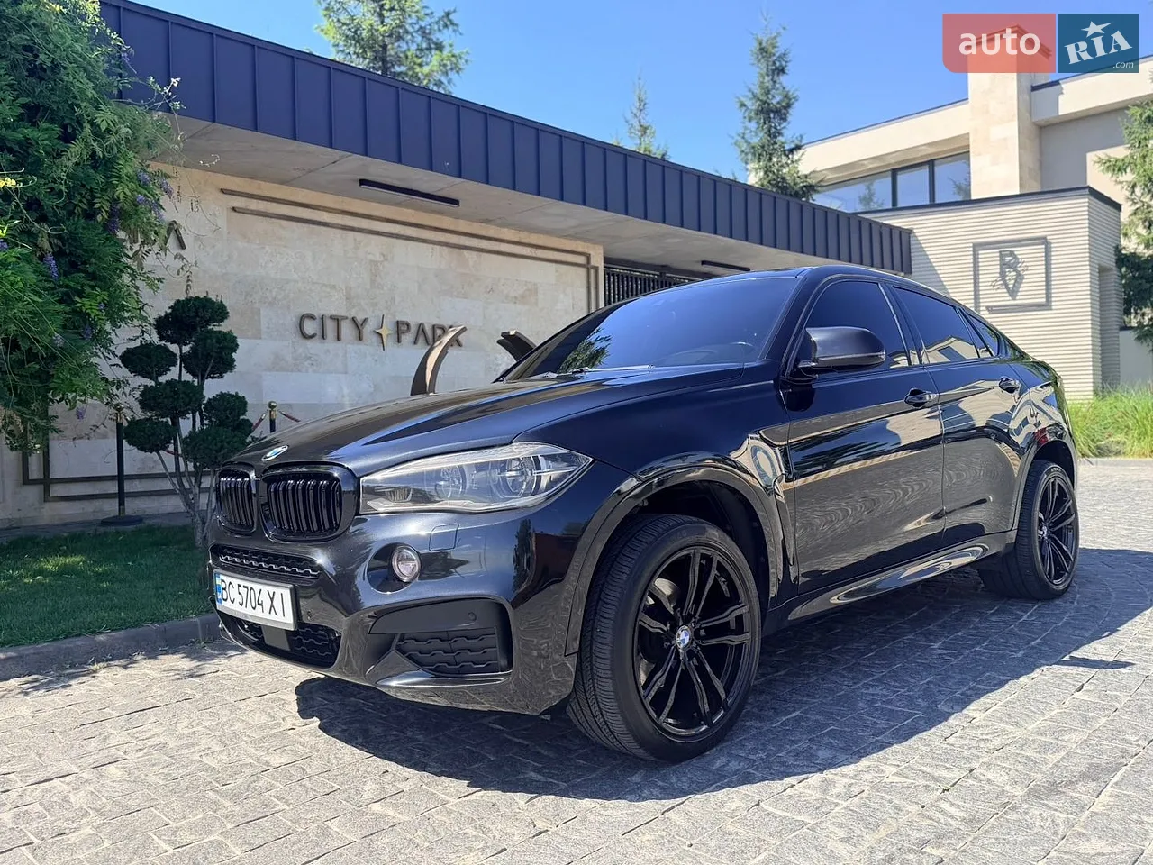 2013 BMW X6 - мініатюра 12