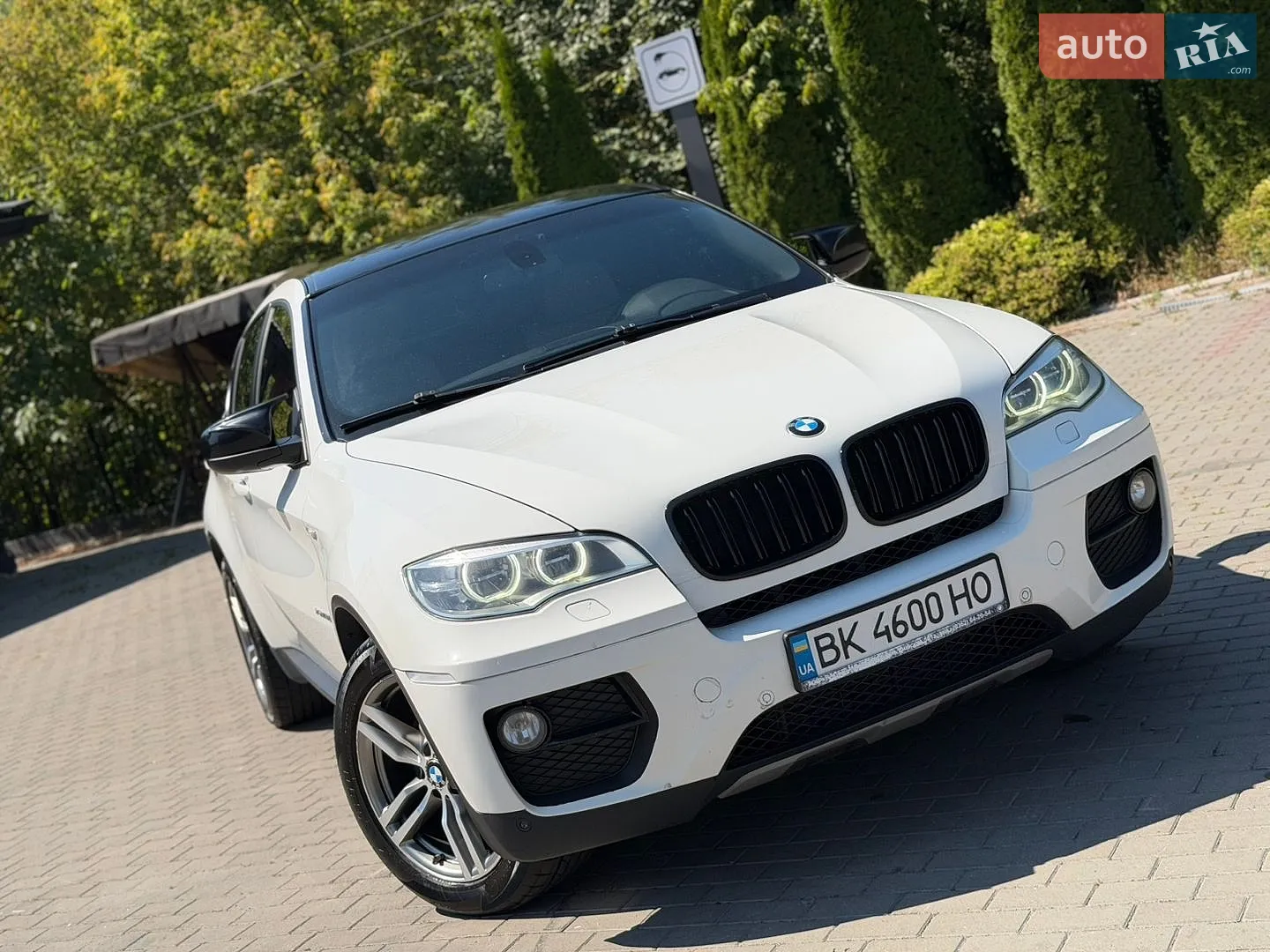 2013 BMW X6 - мініатюра 3