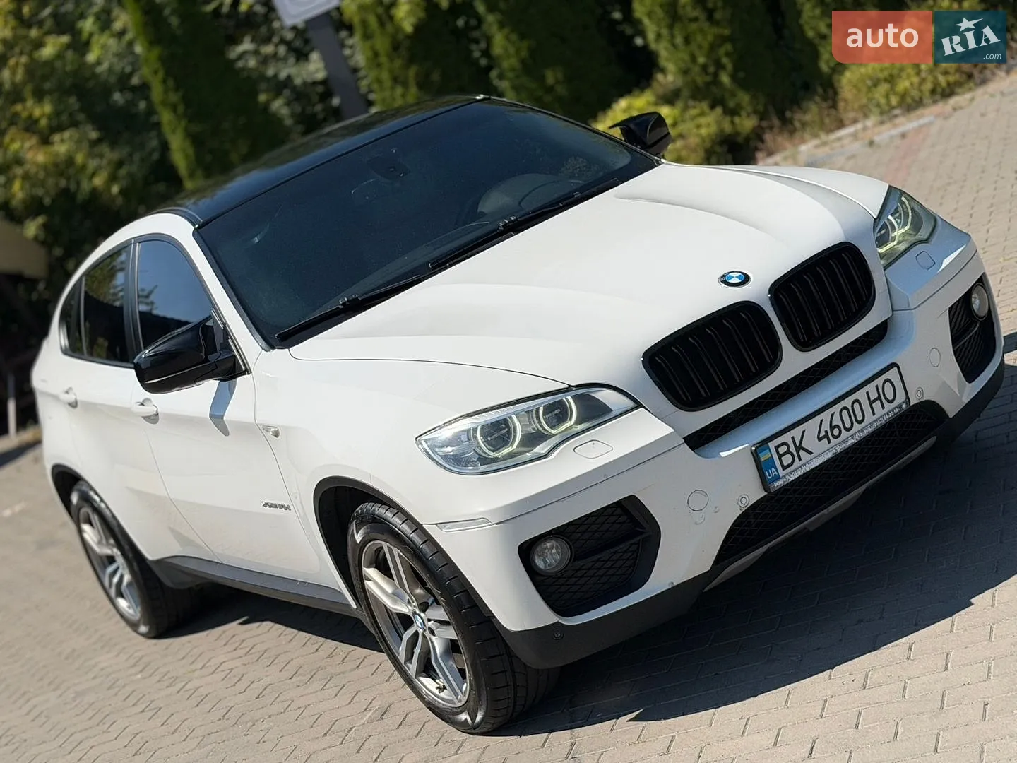 2013 BMW X6 - мініатюра 7