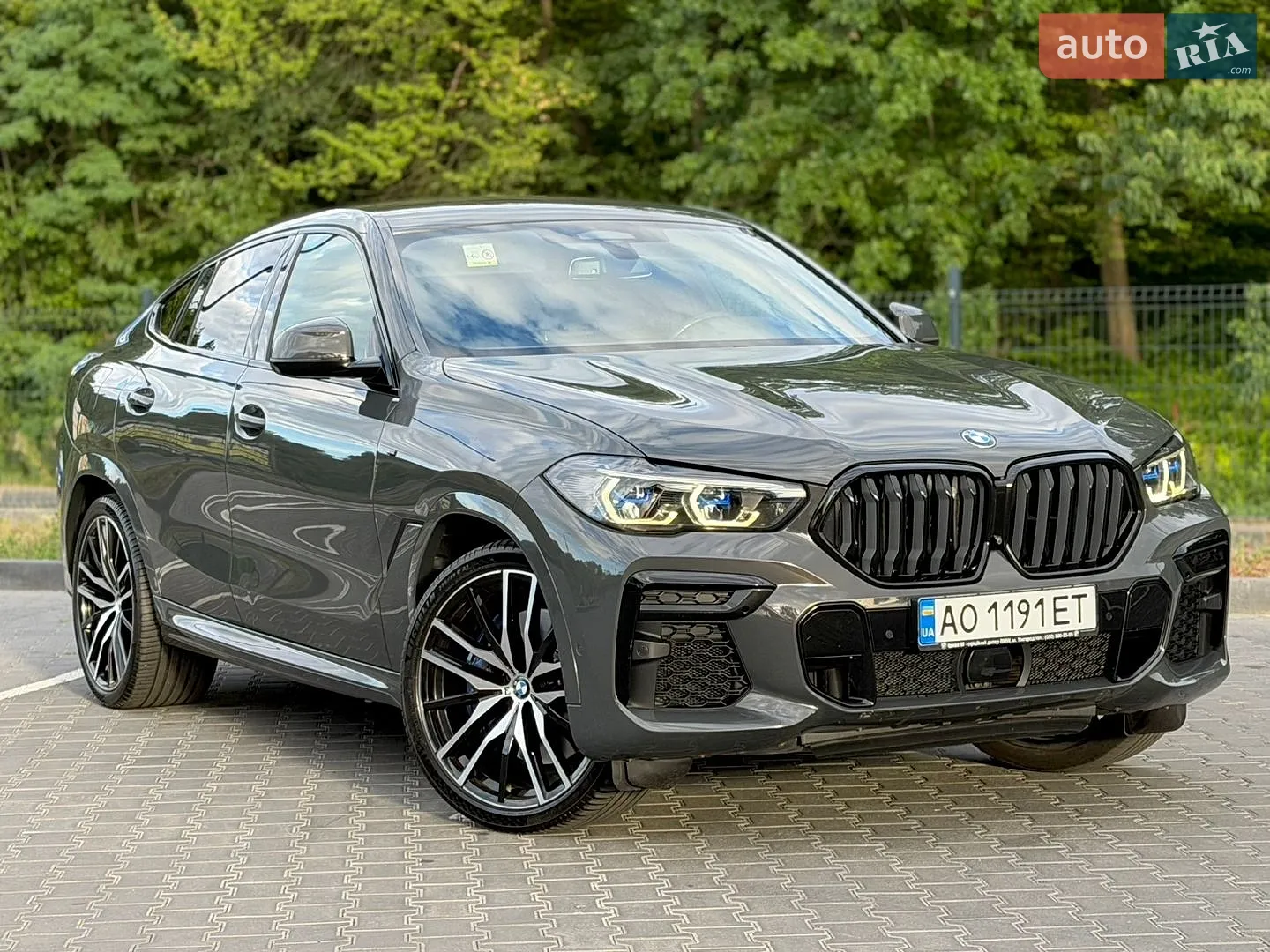 2021 BMW X6 - мініатюра 6