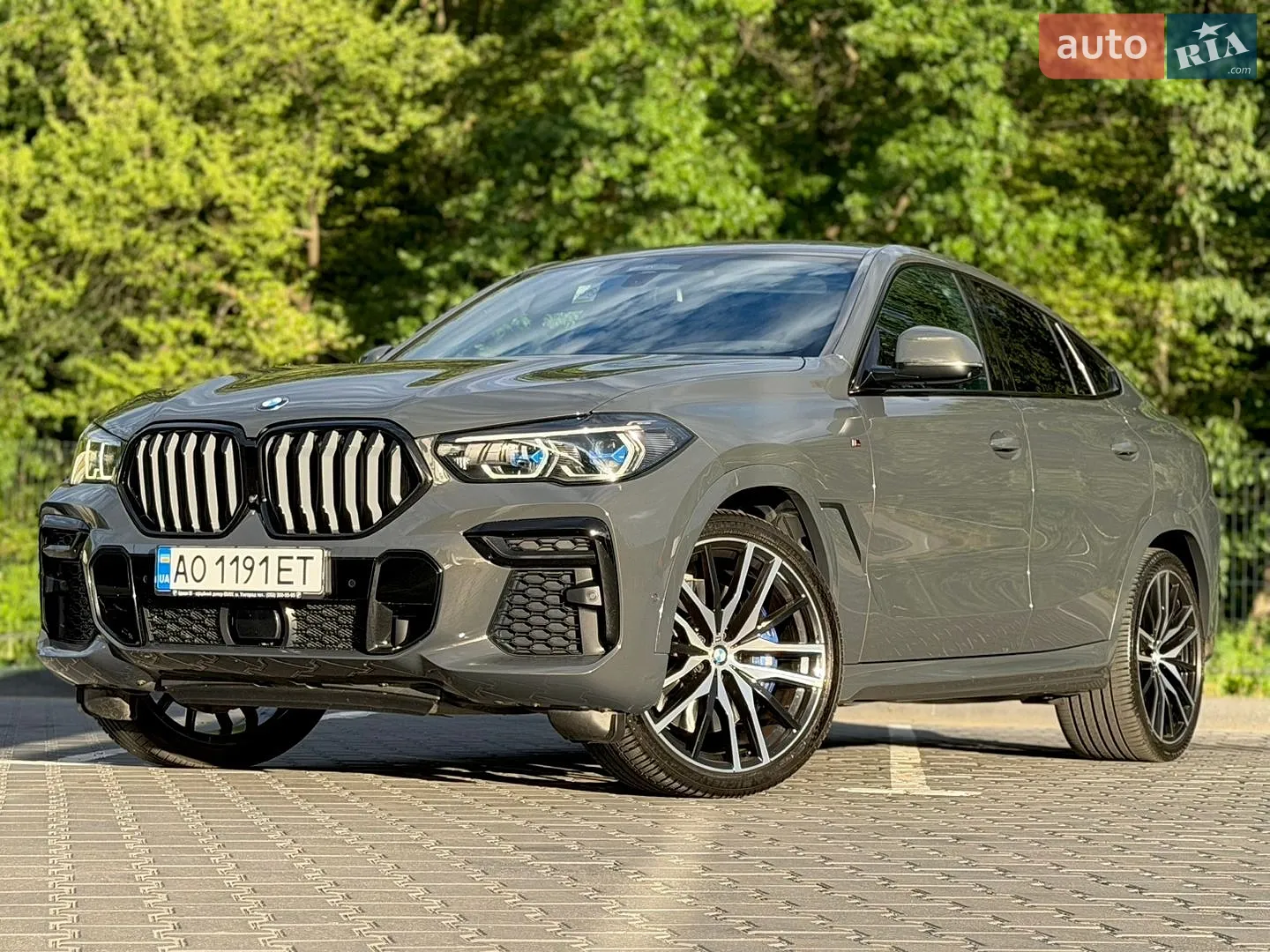 2021 BMW X6 - мініатюра 42