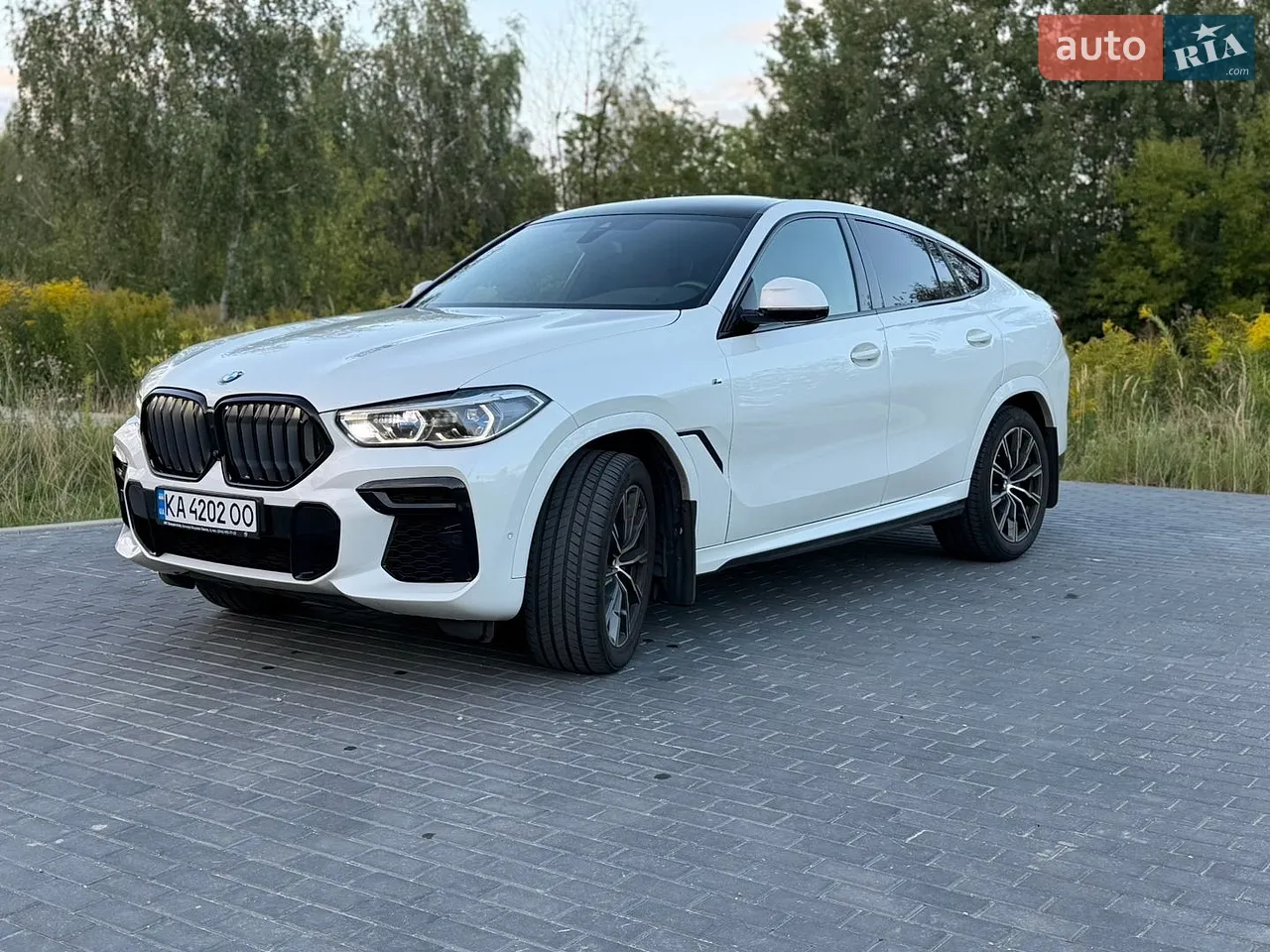 2021 BMW X6 - мініатюра 21