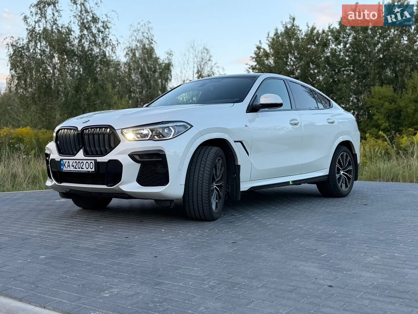 2022 BMW X6 - мініатюра 2