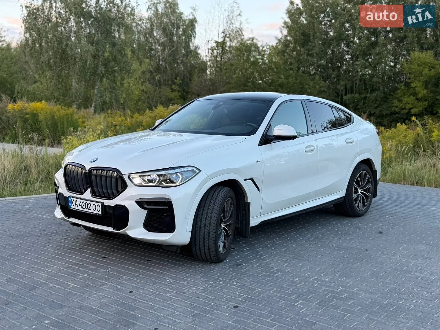 2022 BMW X6 - мініатюра 3