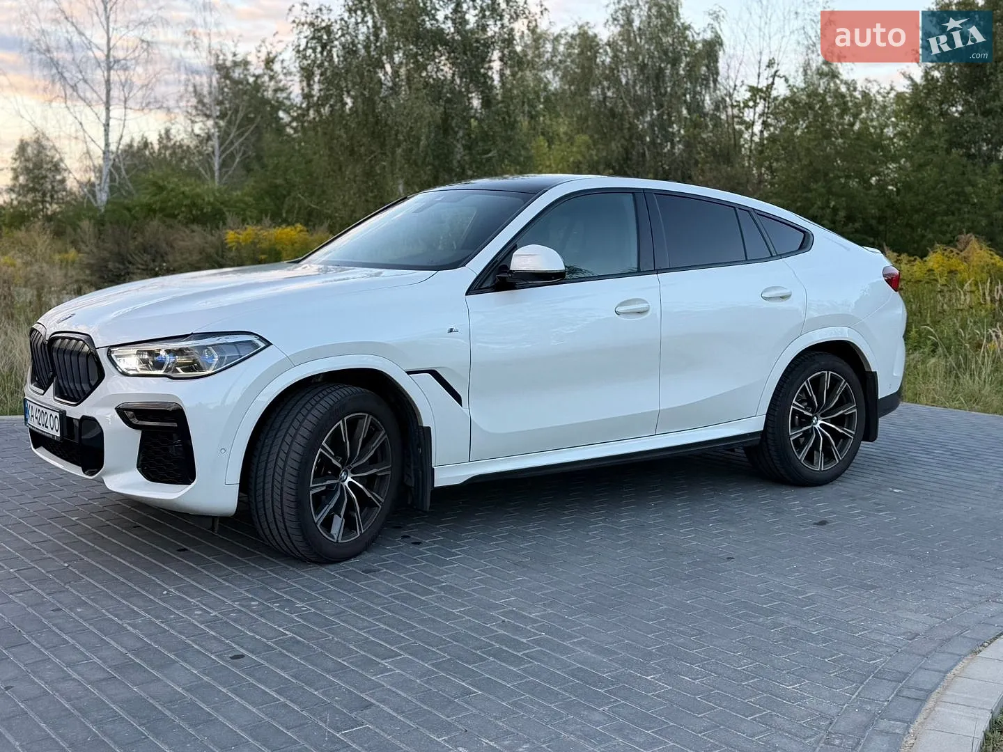 2022 BMW X6 - мініатюра 4