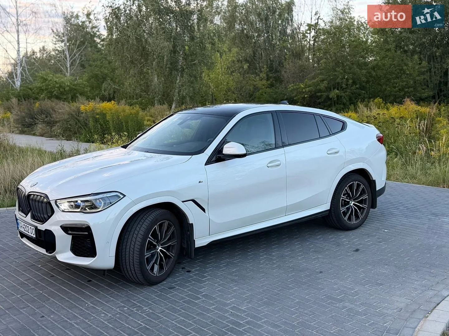 2022 BMW X6 - мініатюра 5
