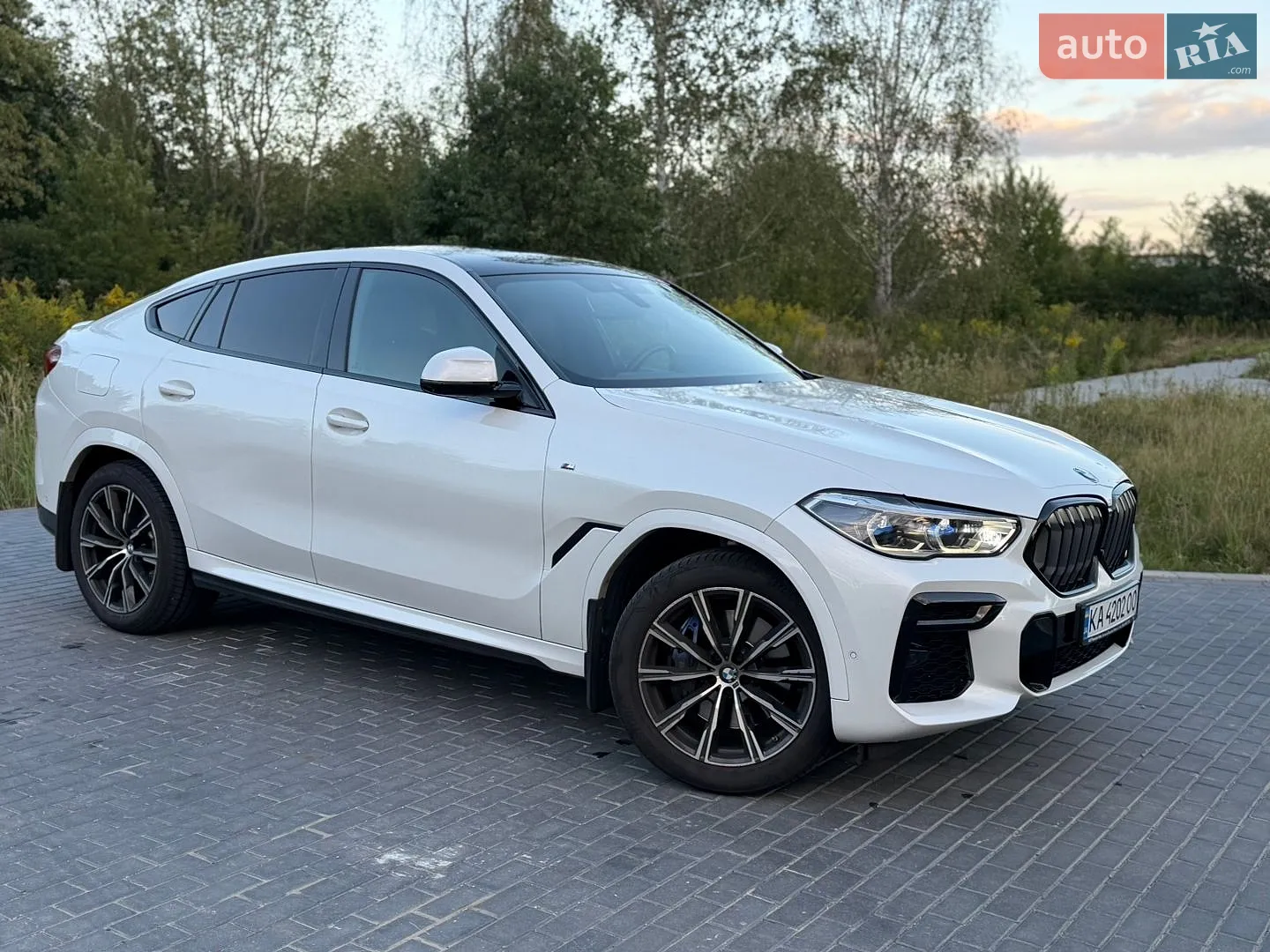 2022 BMW X6 - мініатюра 6