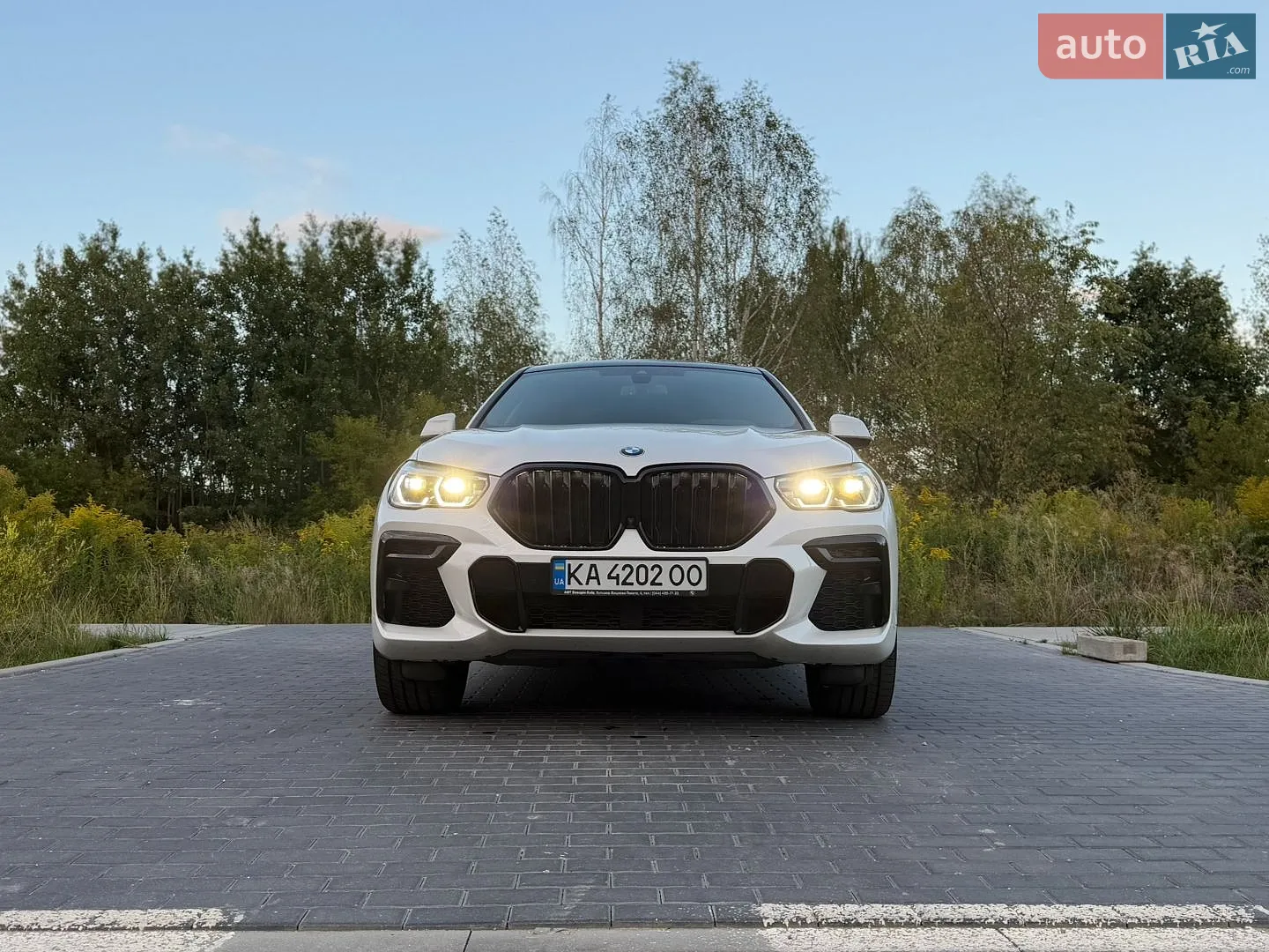 2022 BMW X6 - мініатюра 23