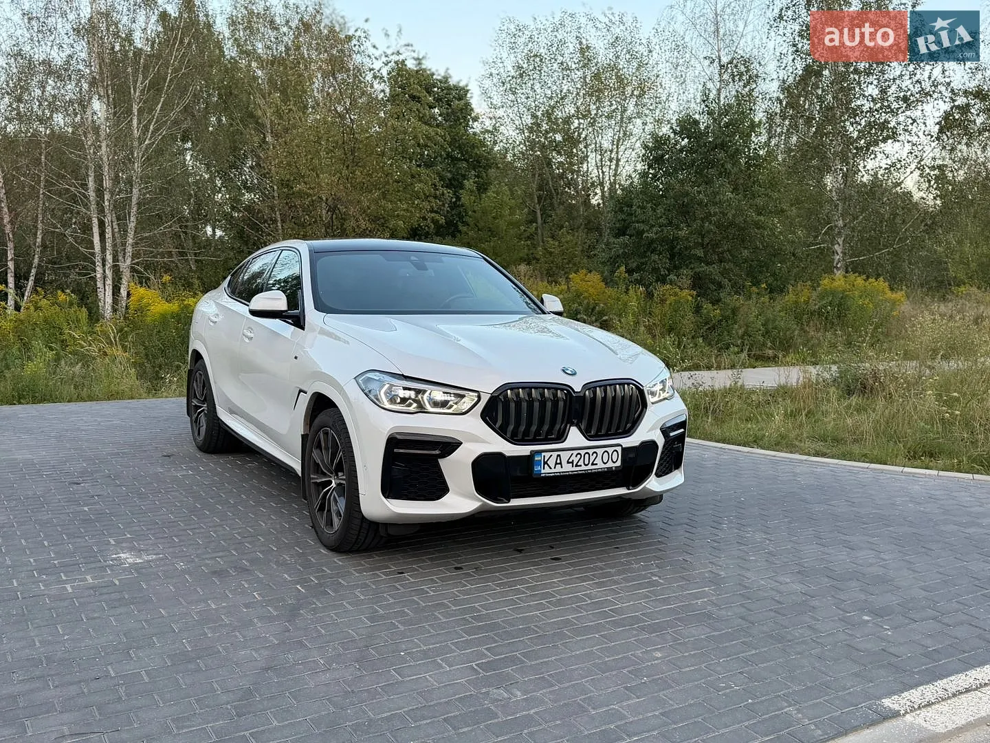2022 BMW X6 - мініатюра 8