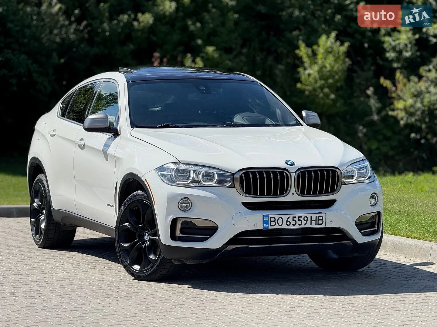 2017 BMW X6 - мініатюра 8
