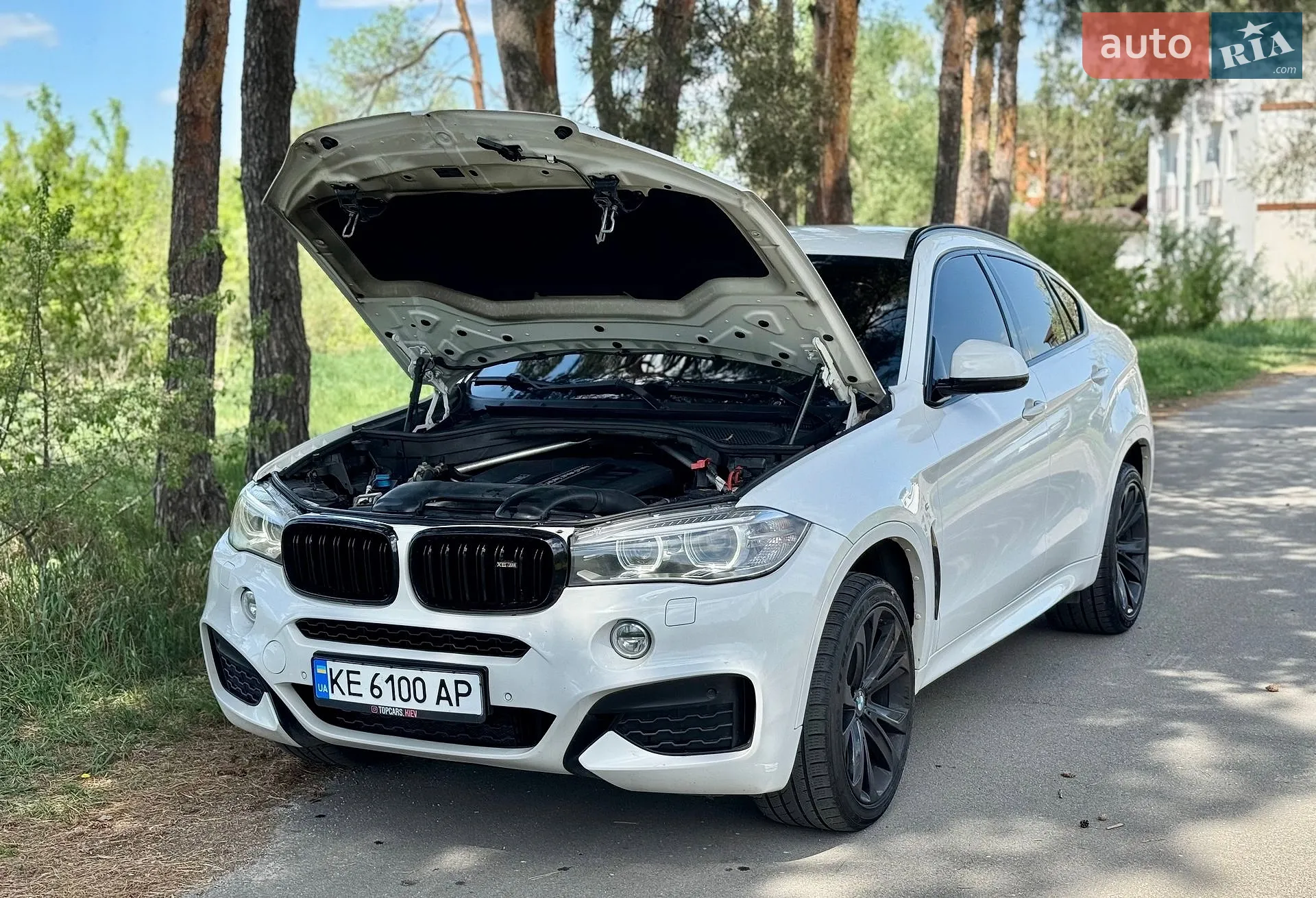2014 BMW X6 - мініатюра 8
