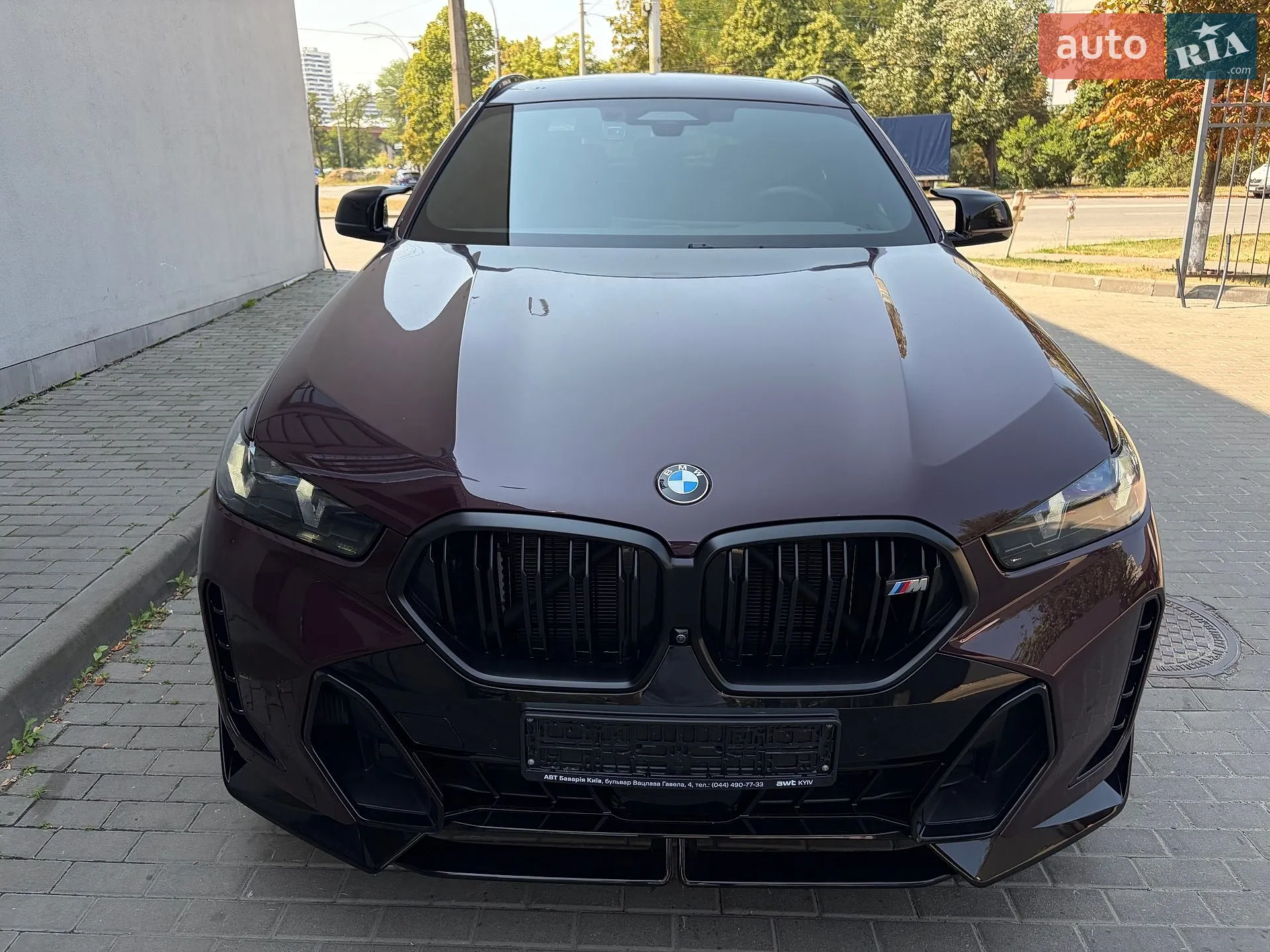 2023 BMW X6 - мініатюра 49