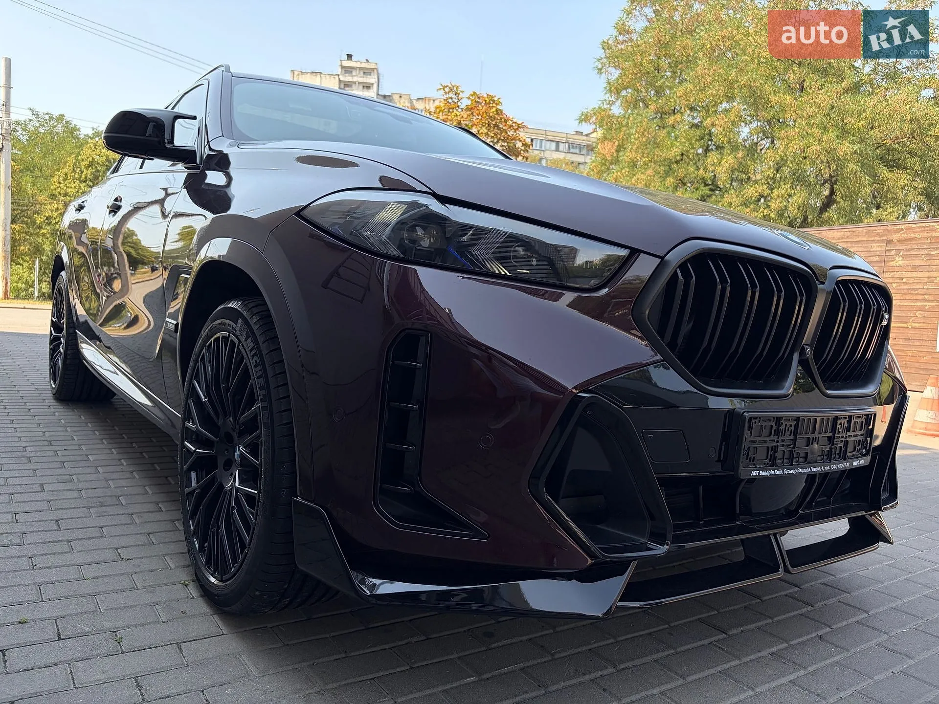 2023 BMW X6 - мініатюра 53