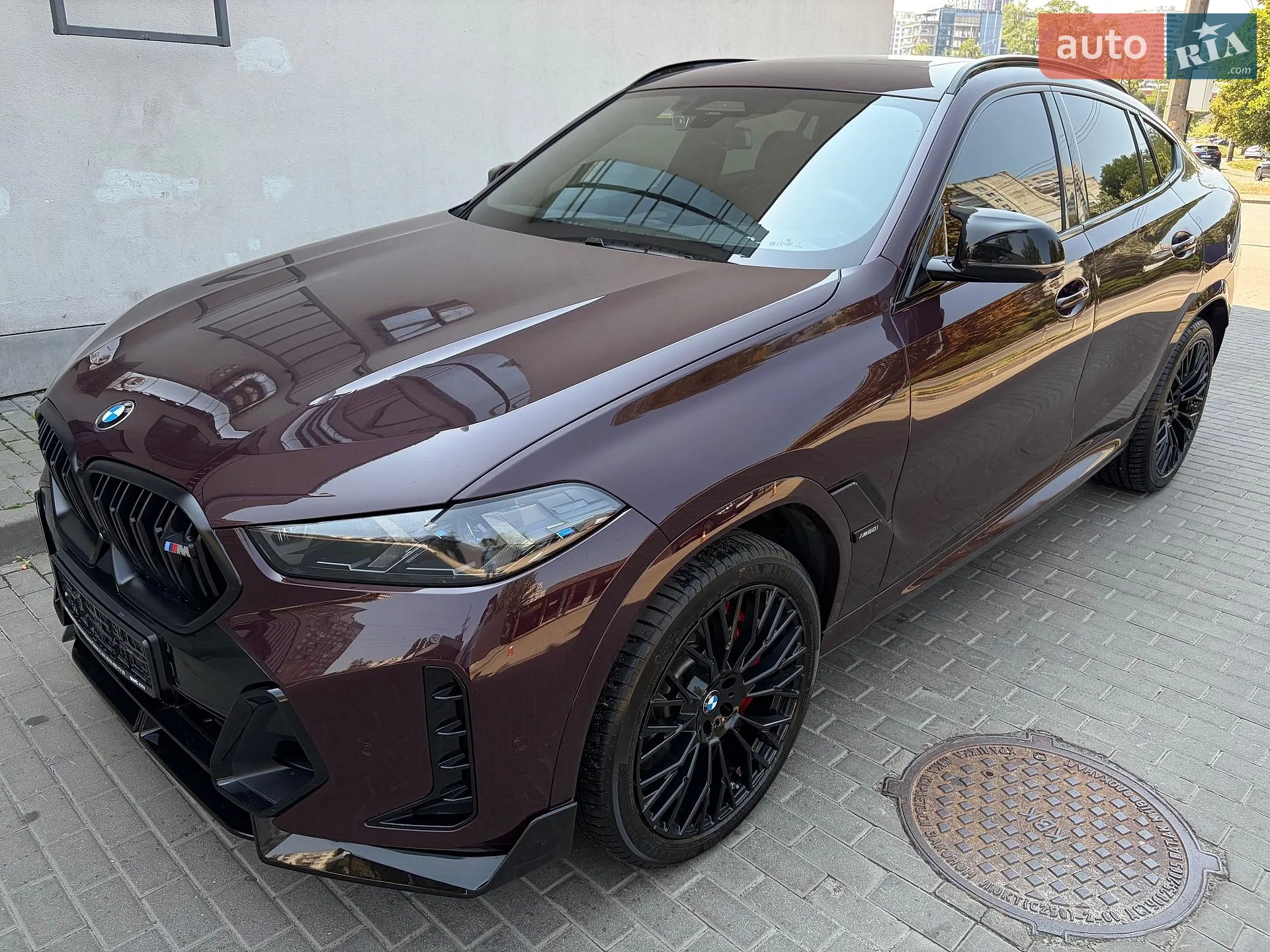 2023 BMW X6 - мініатюра 63