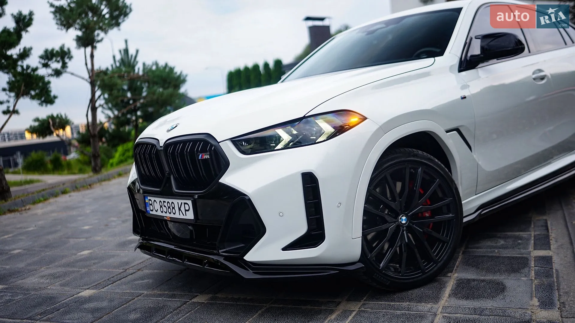 2024 BMW X6 - мініатюра 2