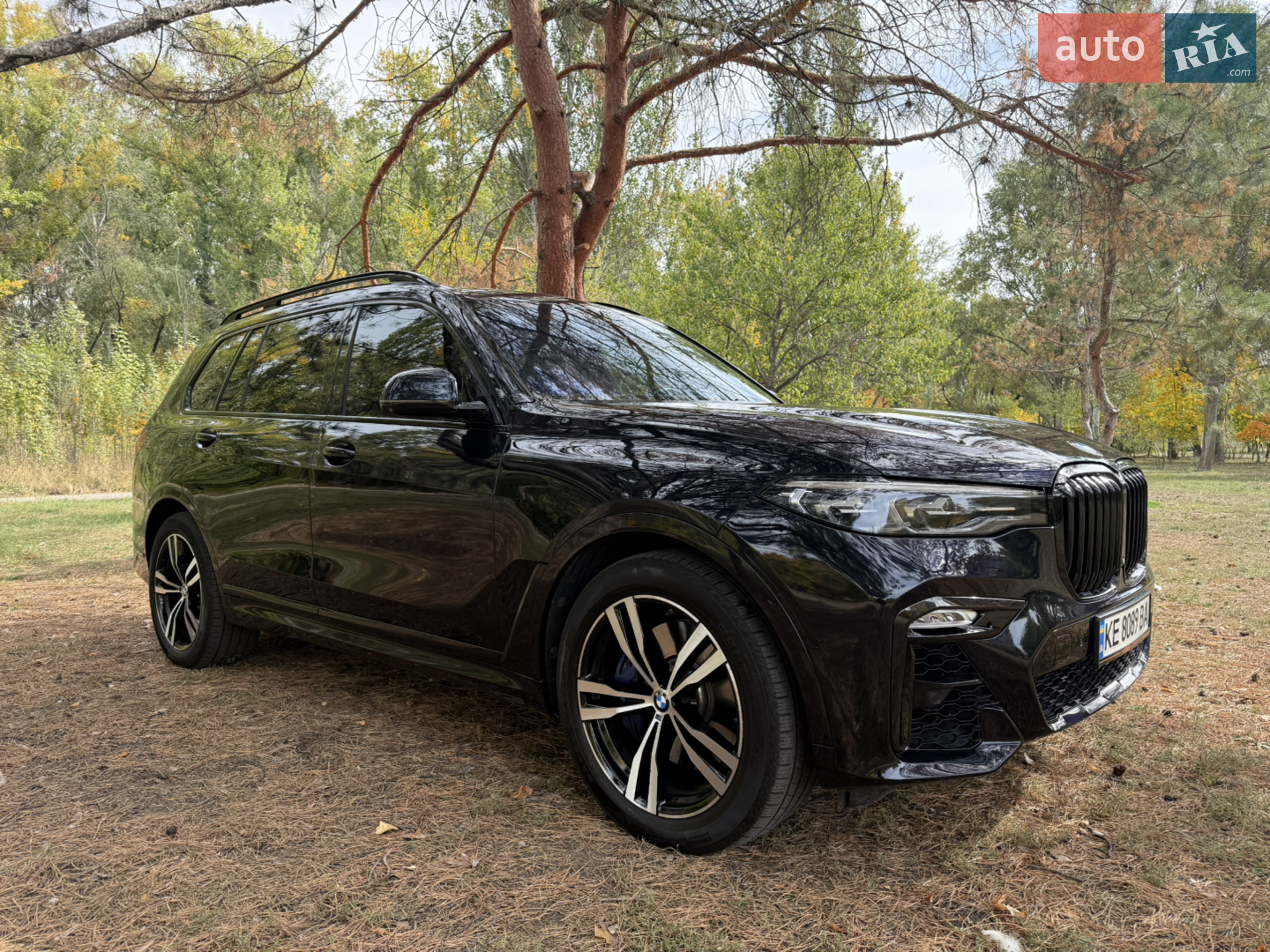 2019 BMW X7 - мініатюра 37