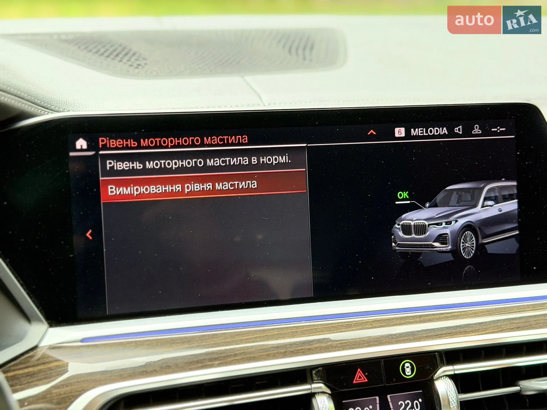 2019 BMW X7 - мініатюра 30