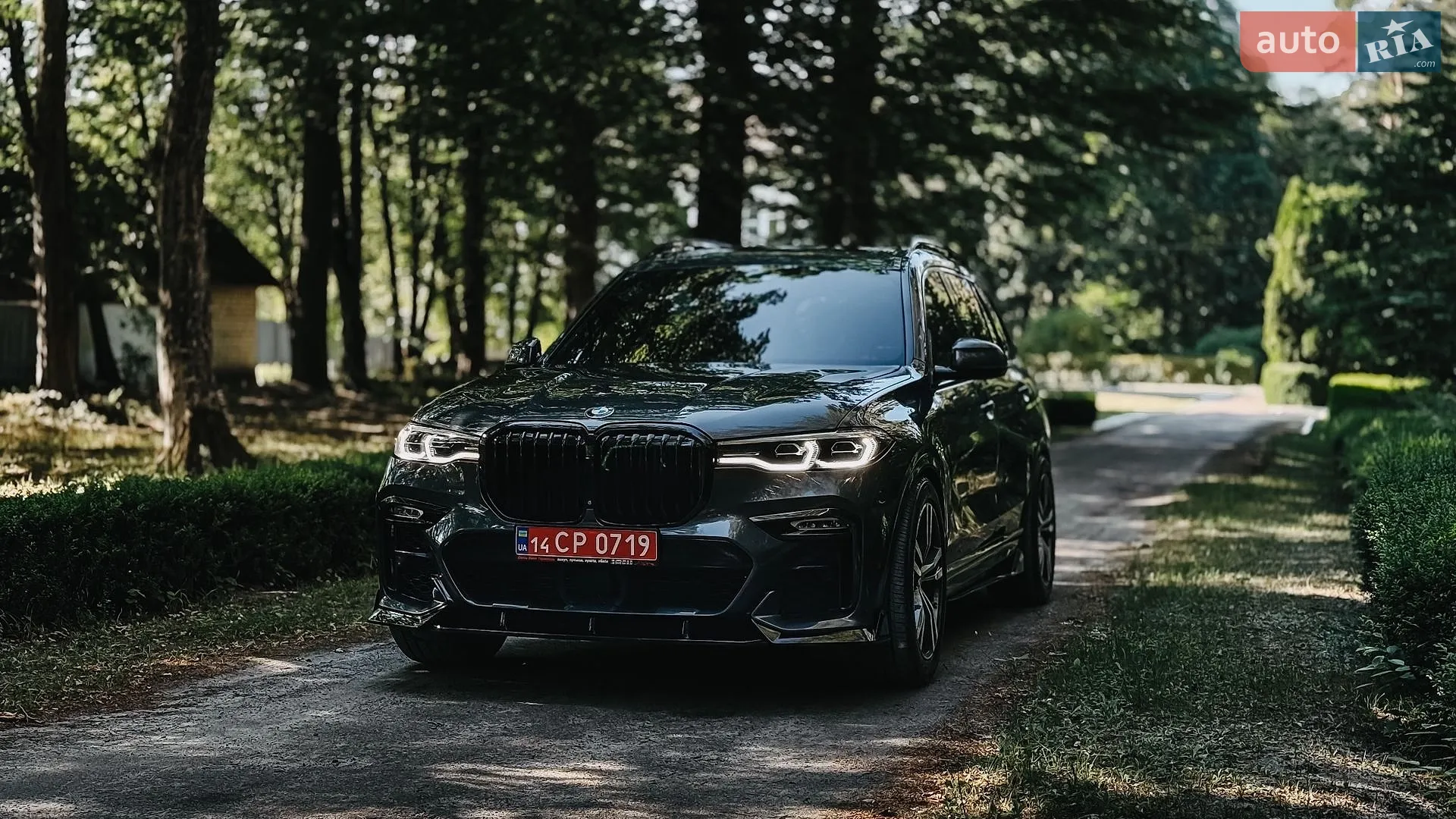 2019 BMW X7 - мініатюра 2