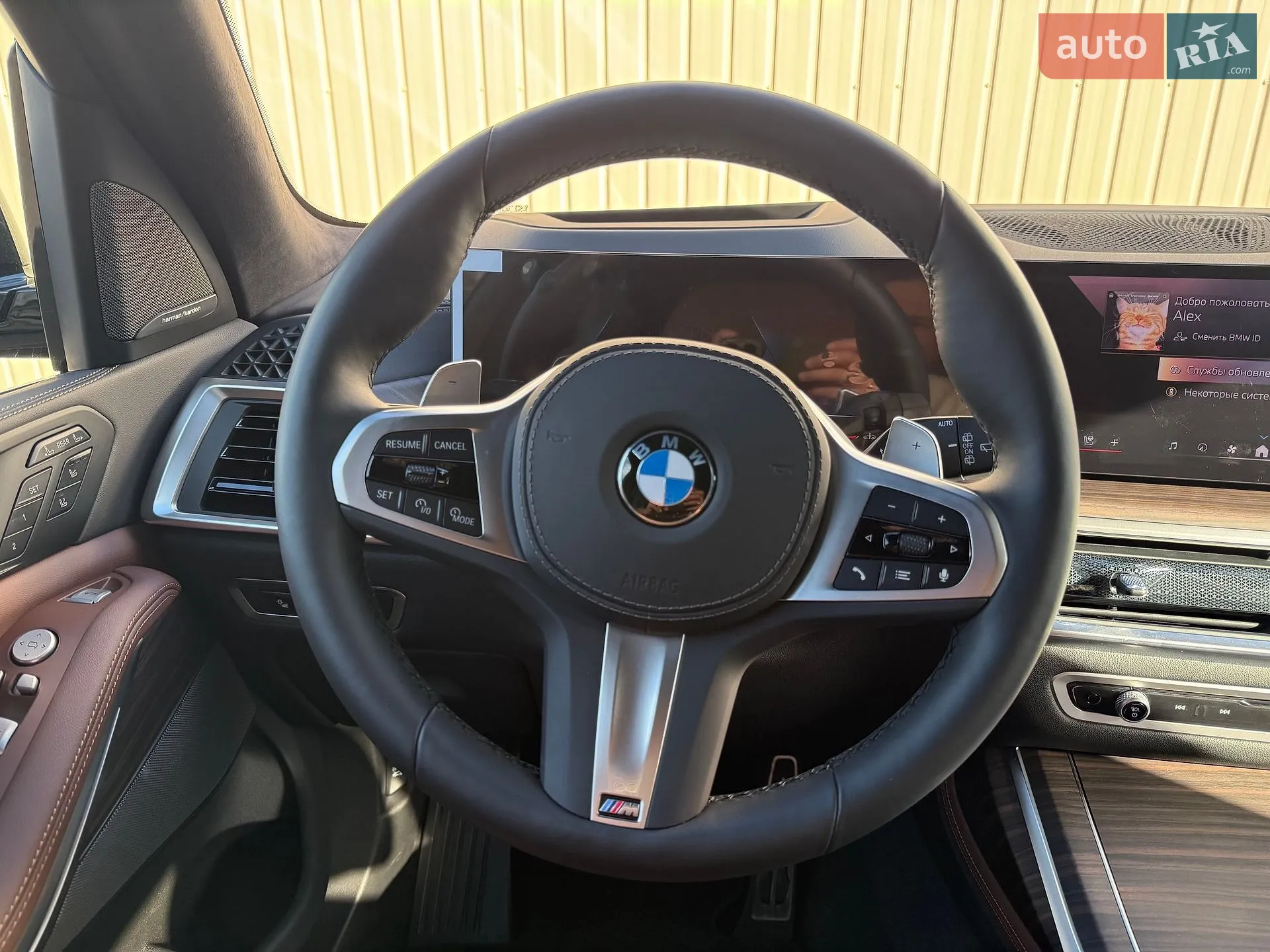 2025 BMW X7 - мініатюра 18