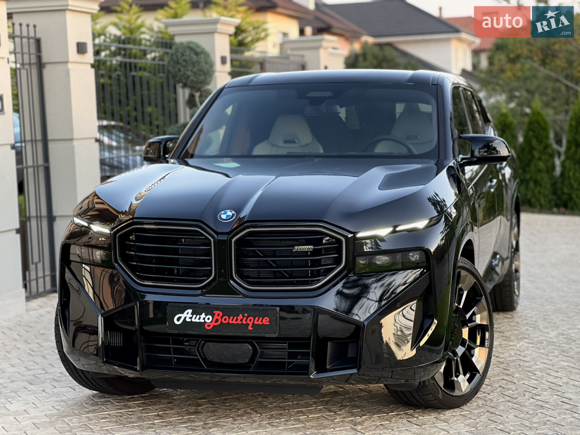 2023 BMW XM - мініатюра 5