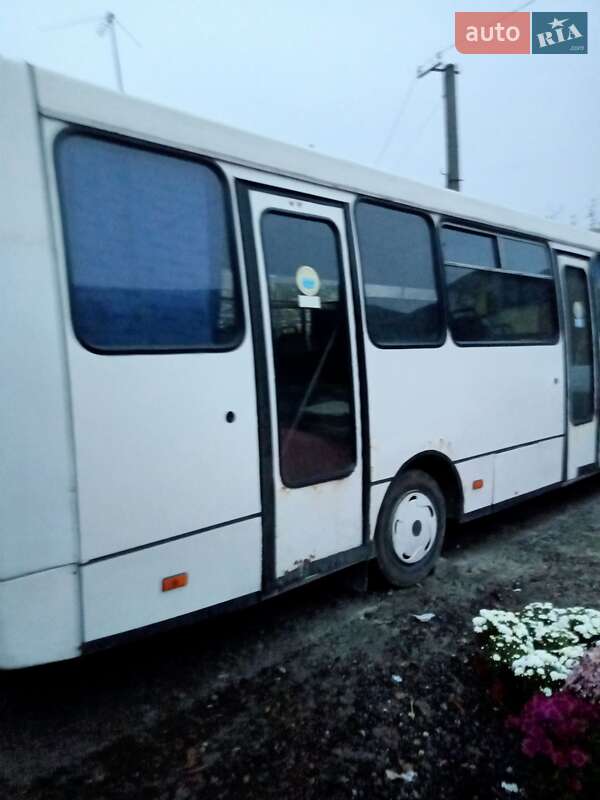 Міський автобус Богдан А-092 2005 в Городку