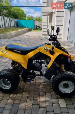 Квадроцикл спортивний BRP DS 250 2009 в 