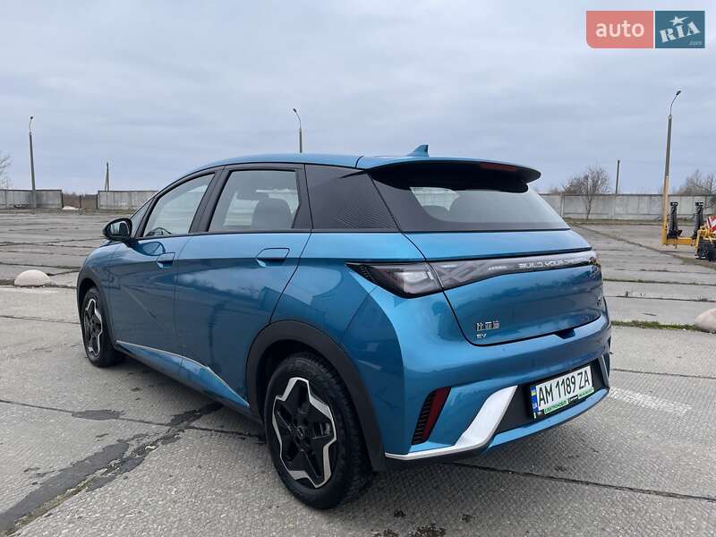 Хетчбек BYD Dolphin 2023 в Житомирі