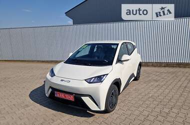Хэтчбек BYD Seagull 2024 в Черновцах