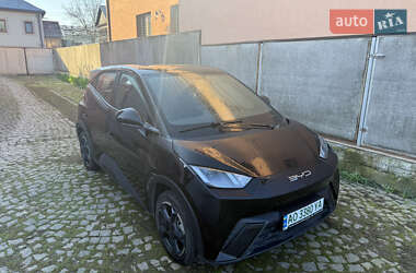 Хэтчбек BYD Seagull 2023 в Ужгороде