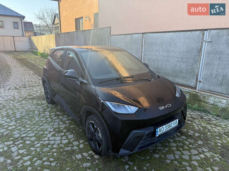 Хэтчбек BYD Seagull 2023 в Ужгороде