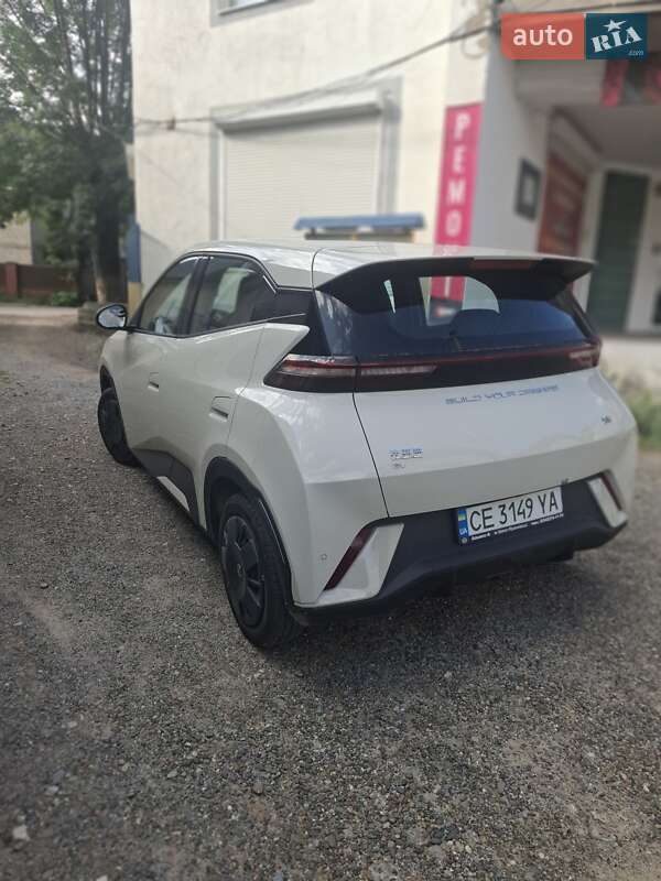 Хэтчбек BYD Seagull 2024 в Черновцах