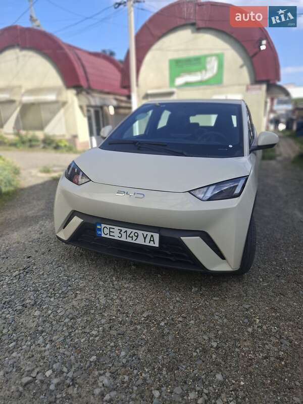 Хэтчбек BYD Seagull 2024 в Черновцах