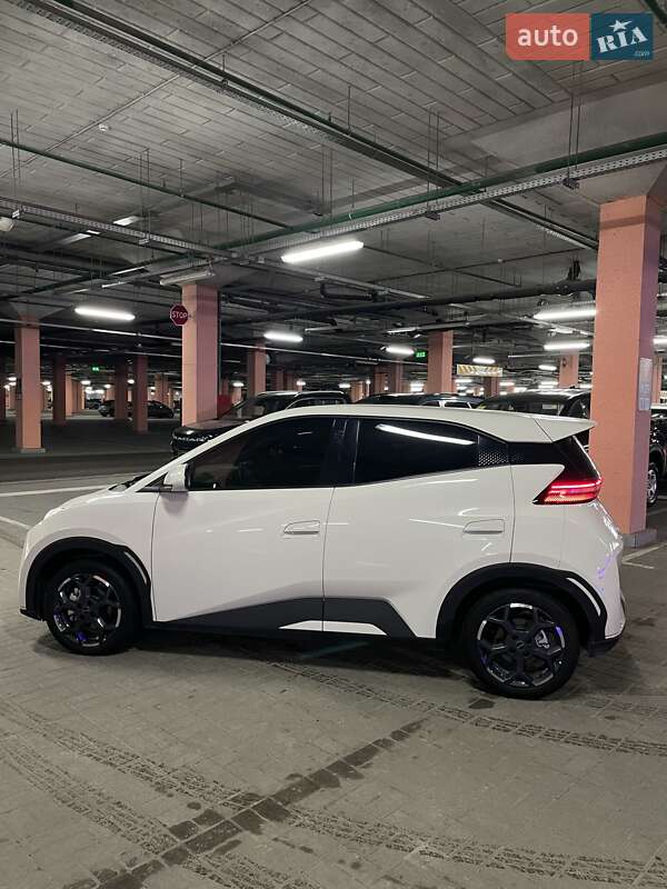 Хэтчбек BYD Seagull 2024 в Киеве