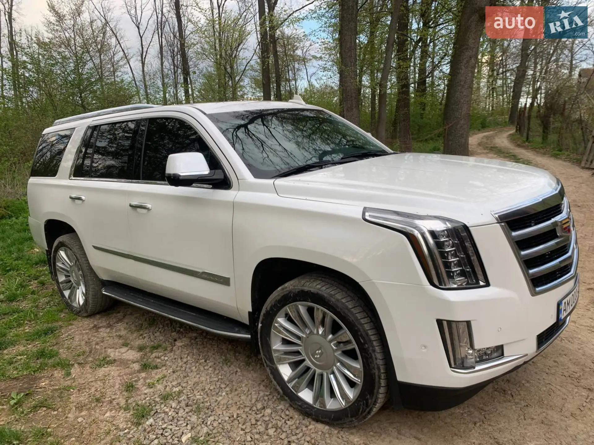 2019 Cadillac Escalade - мініатюра 14