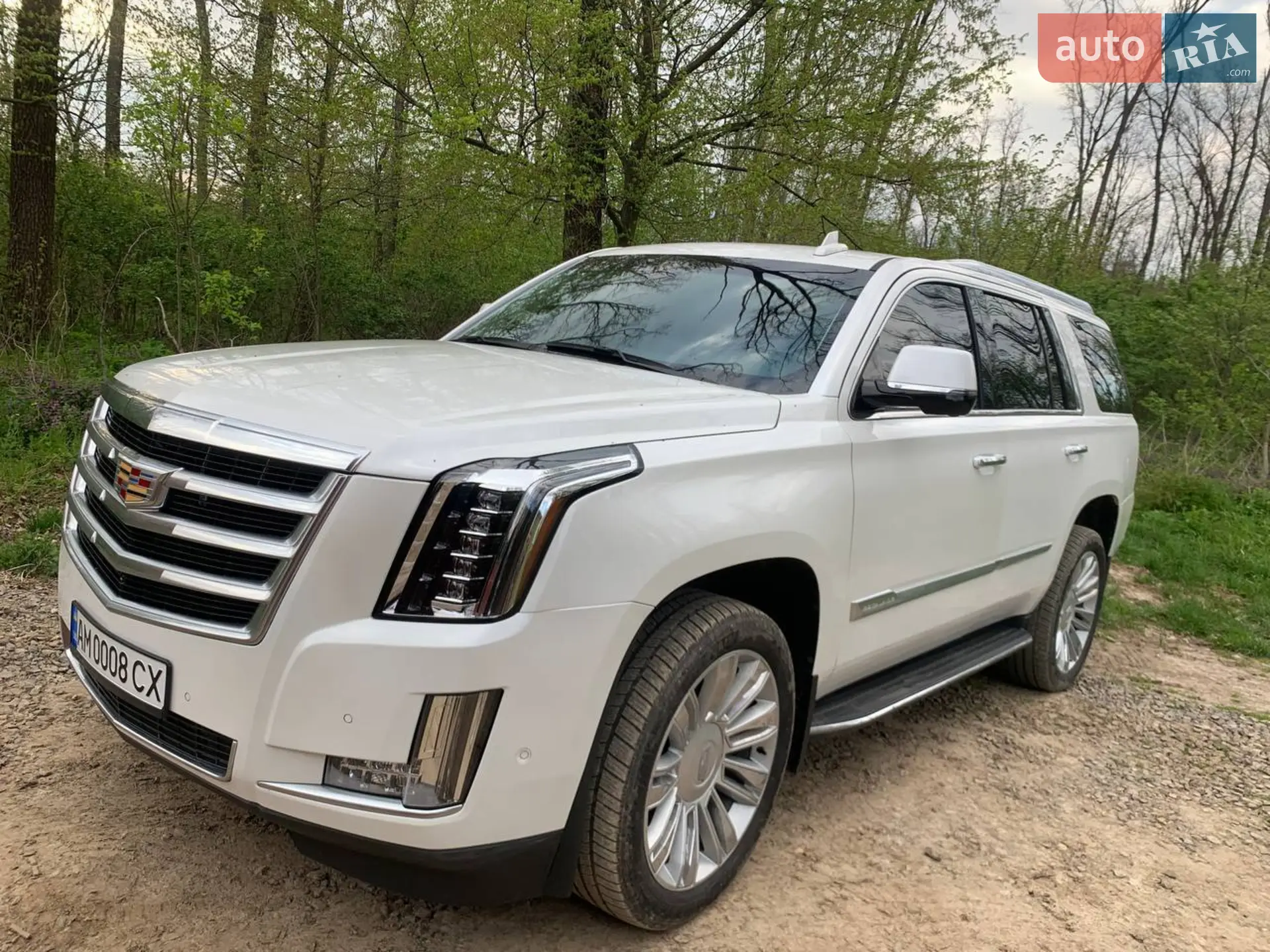 2019 Cadillac Escalade - мініатюра 18