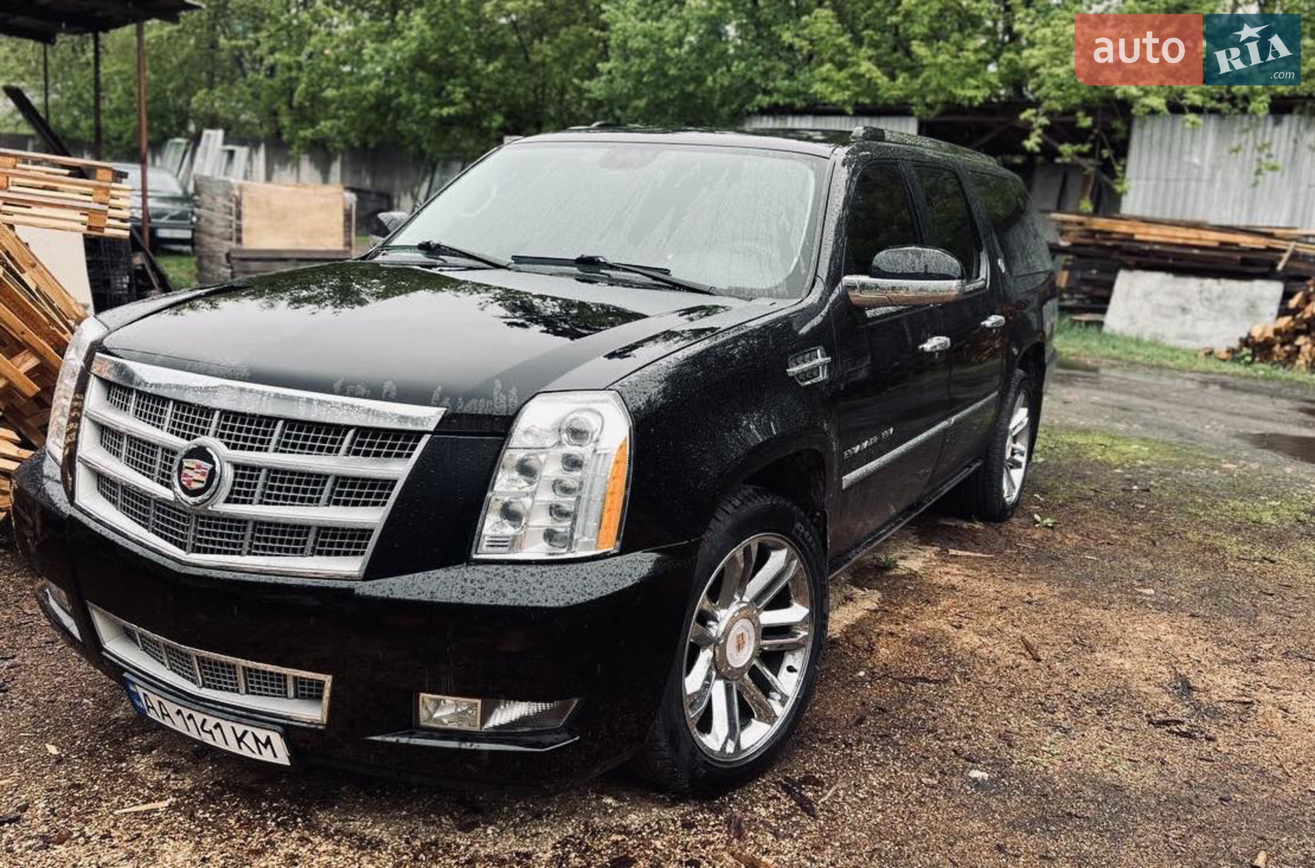 2010 Cadillac Escalade - мініатюра 2