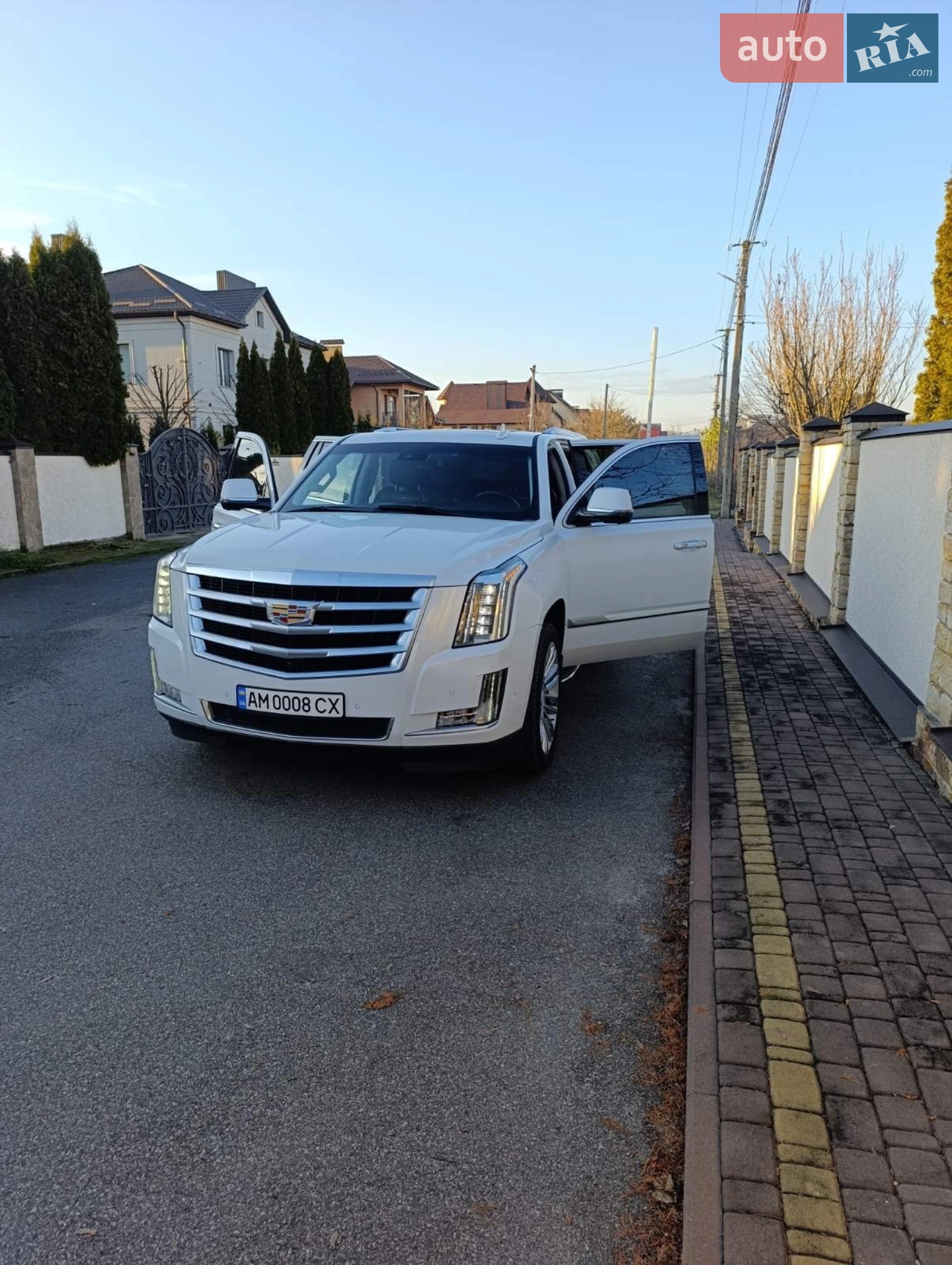 2019 Cadillac Escalade - фото 1