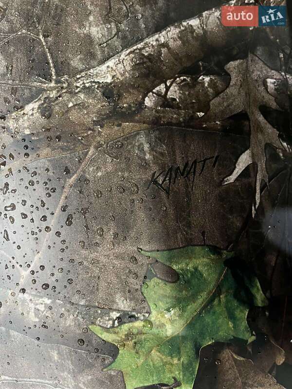 Квадроцикл спортивный CFMOTO CForce 520L 2025 в Киеве