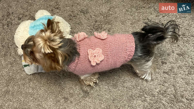 Седан Chevrolet Aveo 2008 в Люботине