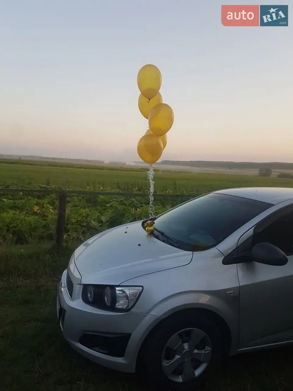 2011 Chevrolet Aveo - мініатюра 20