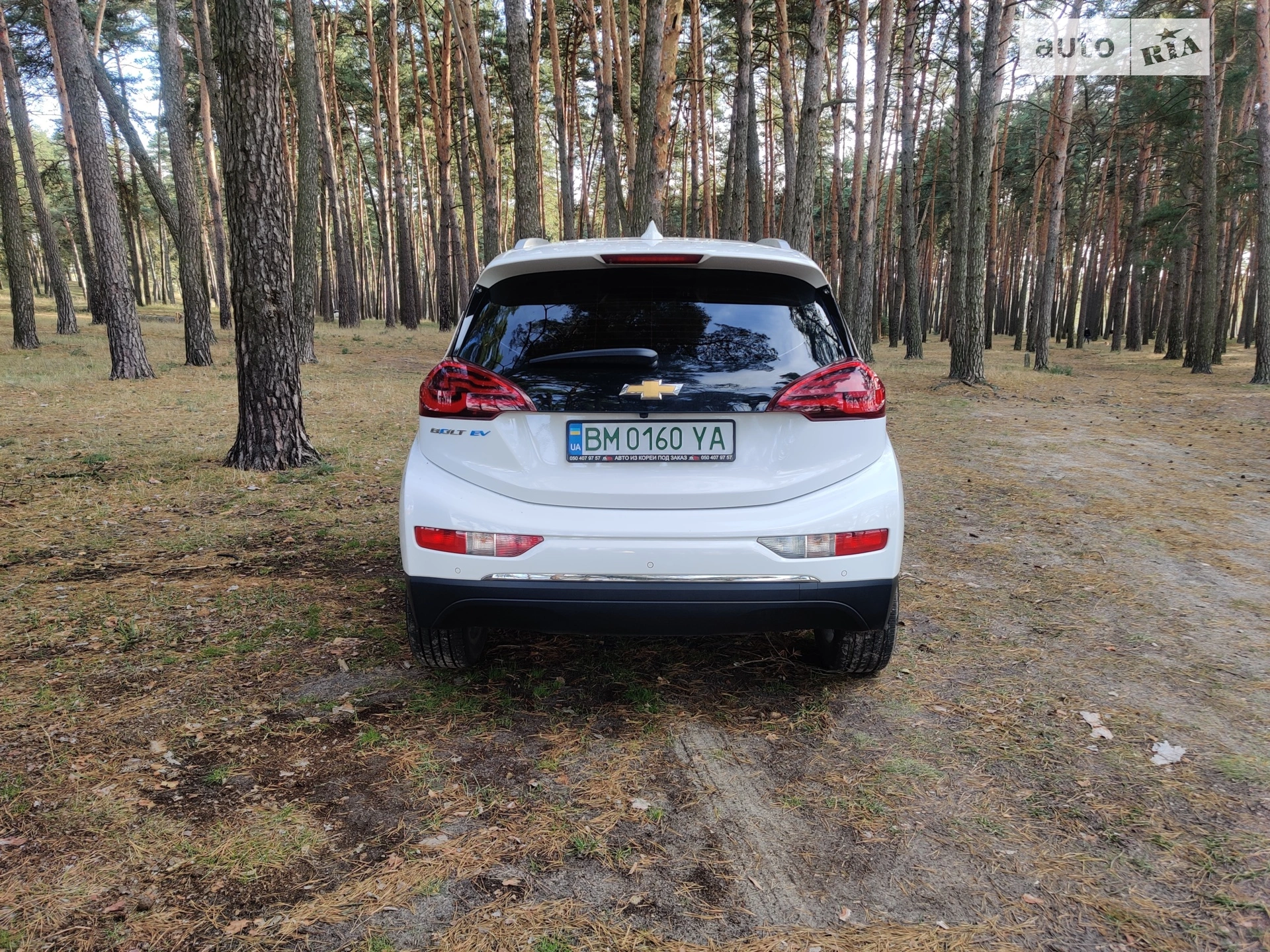 2019 Chevrolet Bolt EUV - мініатюра 13