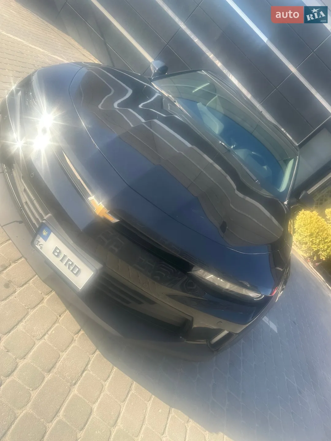 2016 Chevrolet Camaro - фото 1