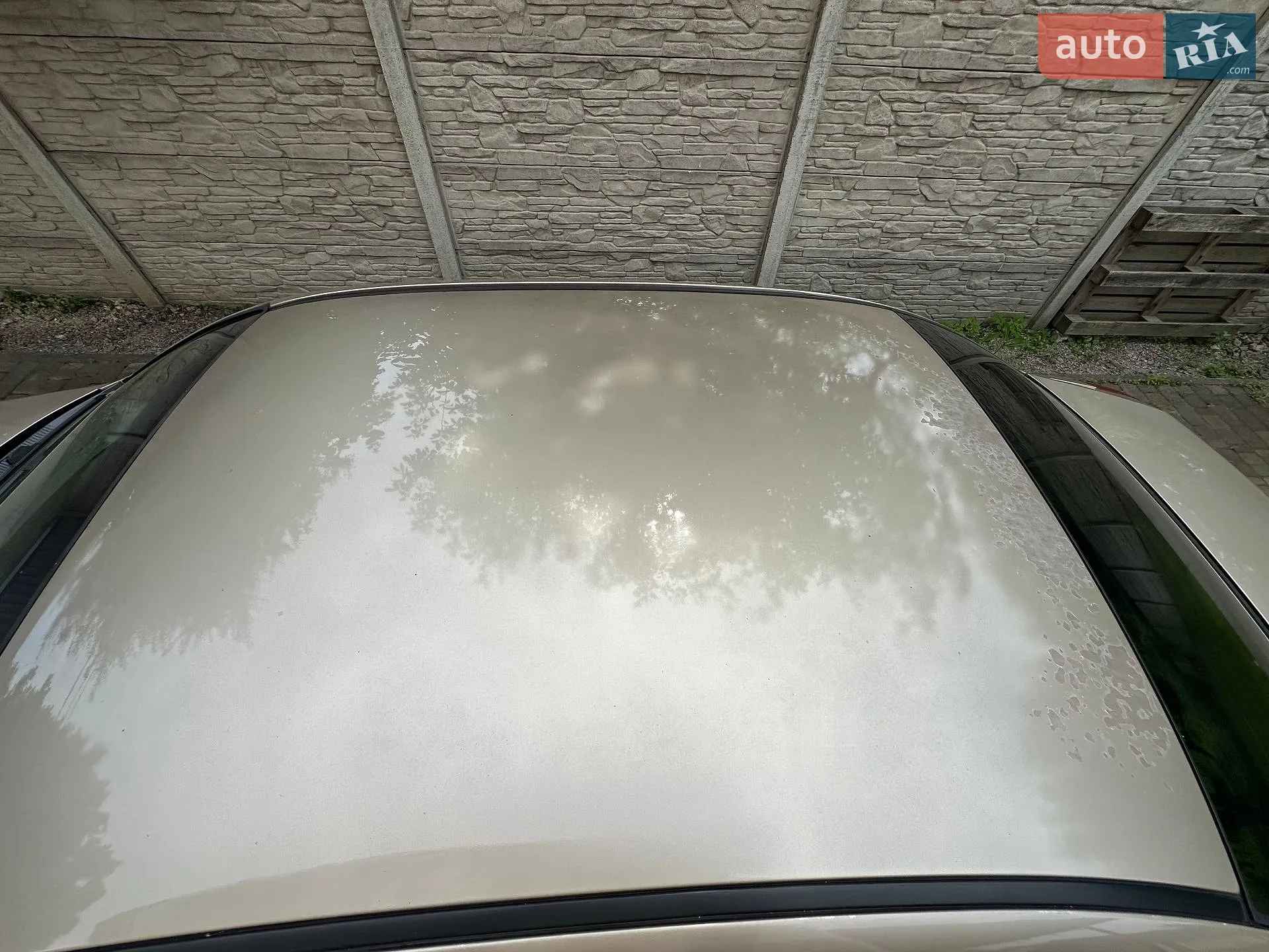 Chevrolet Lacetti 2008 VIN Y6DNF19BE8K305523 фото оголошення 15 з 35