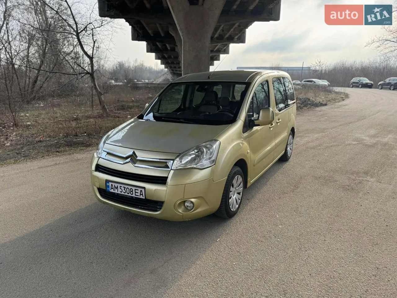 2010 SsangYong Actyon - мініатюра 18